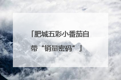 肥城五彩小番茄自带“销量密码”